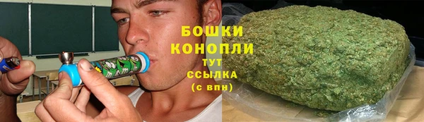 индика Наволоки