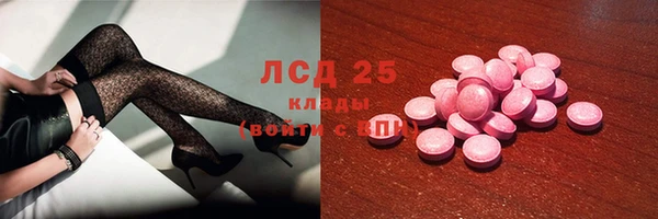 индика Наволоки