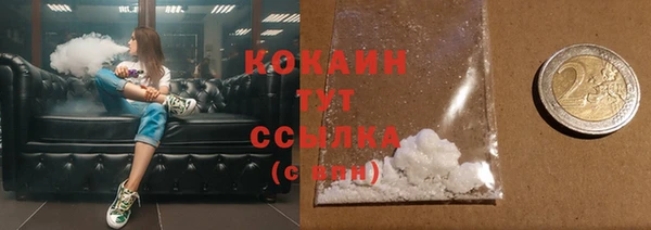 индика Наволоки