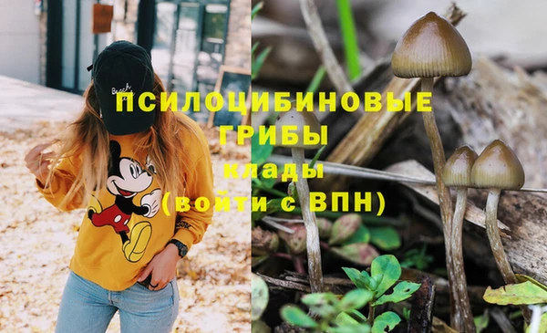индика Наволоки