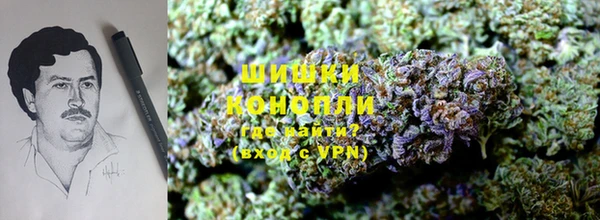 индика Наволоки